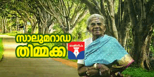 salumarada thimmakka, RASHTRADEEPAM,NEWS,KERALA,CINEMA,MALAYALAM,POLITICS,MEDIA,WESITE,ONLINE,DAILY,IV BABU,DEATH,film festivel,rain,thimmakkaരണ്ടാമത് റെയിൻ ഇന്റർനാഷണൽ നേച്ചർ ഫിലിം ഫെസ്റ്റിവൽ