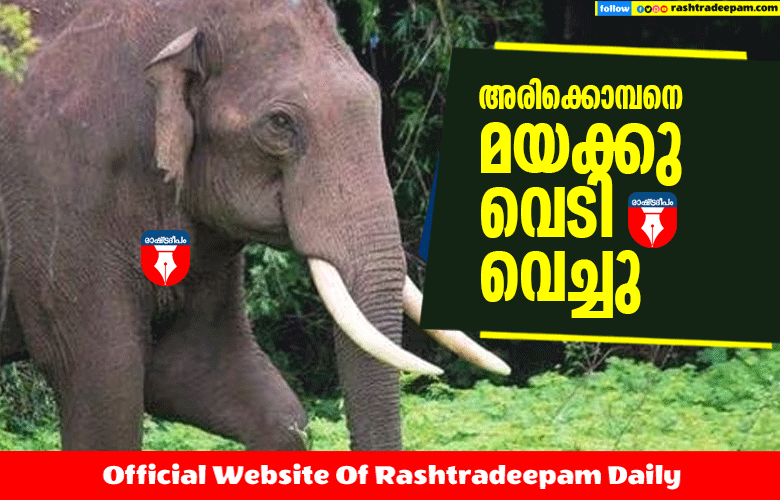 RASHTRADEEPAM, NEWS, KERALA,CINEMA,MALAYALAM,POLITICS,MEDIA, WESITE, ONLINE, DAILY