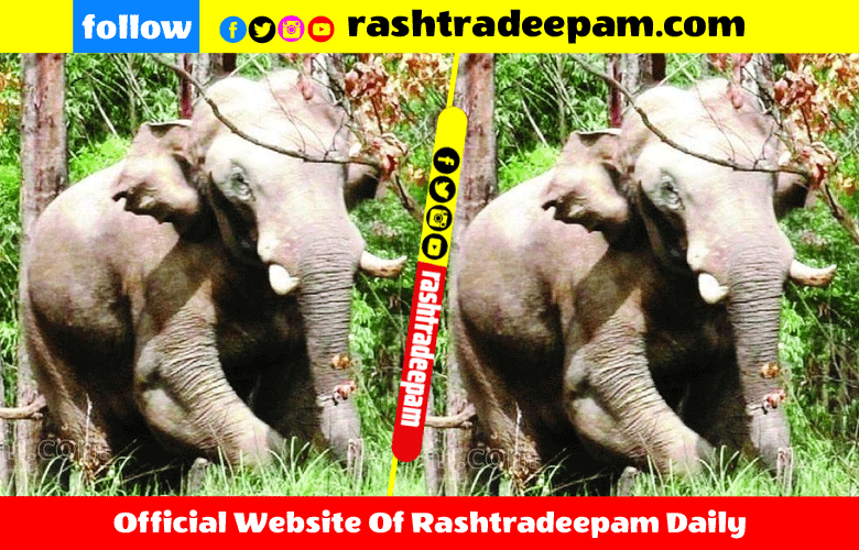 RASHTRADEEPAM, NEWS, KERALA,CINEMA,MALAYALAM,POLITICS,MEDIA, WESITE, ONLINE, DAILY